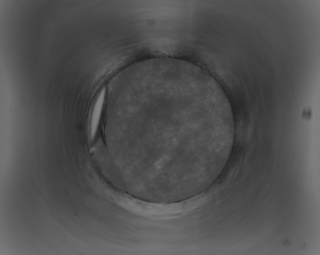 X0000092210027200710051146