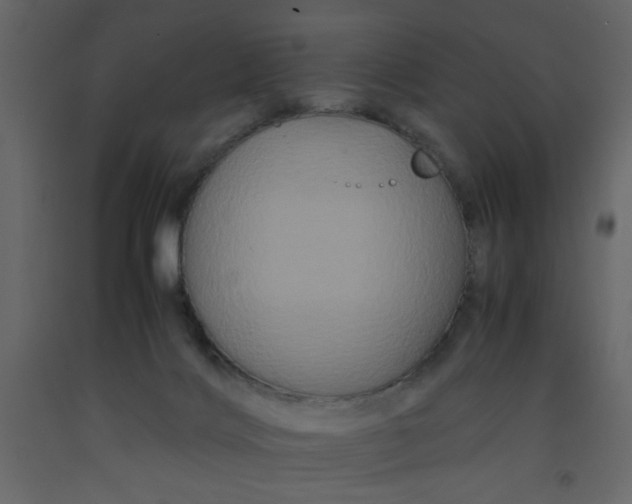 X0000092210028200710051146