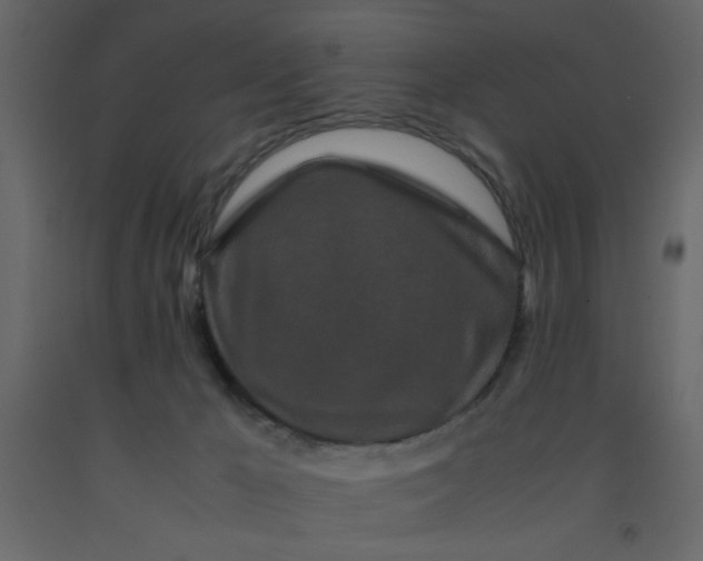 X0000092210029200710051146