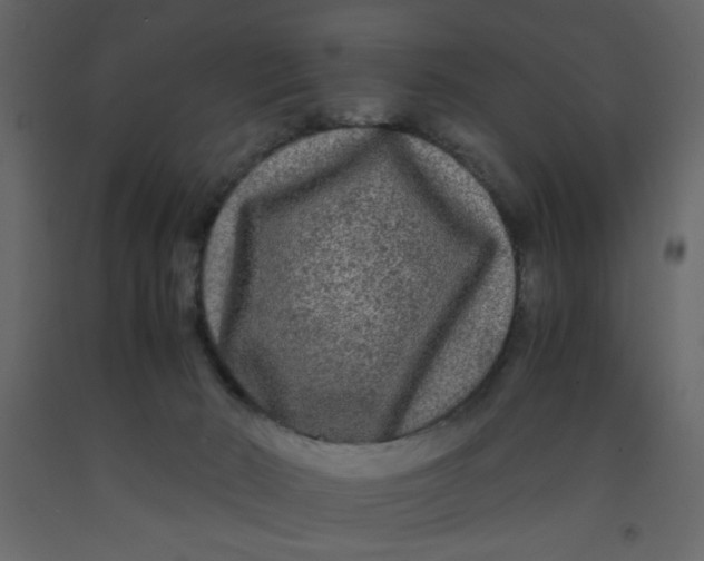 X0000092210030200710051146