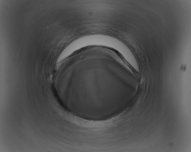 X0000092210031200710051146