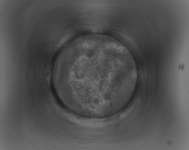 X0000092210032200710051146