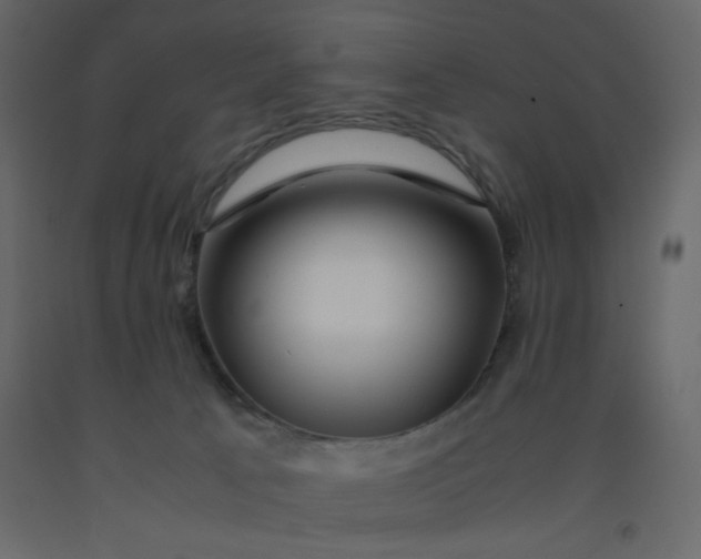 X0000092210033200710051146