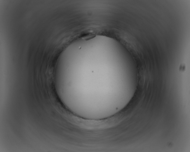 X0000092210034200710051146