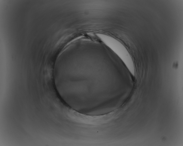 X0000092210035200710051146