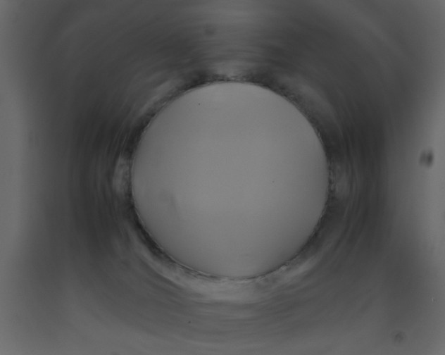 X0000092210036200710051146