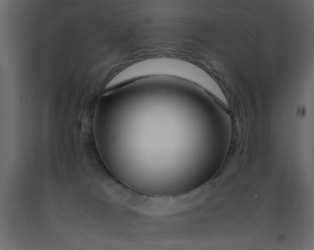 X0000092210037200710051146