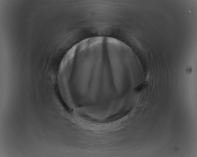 X0000092210039200710051146
