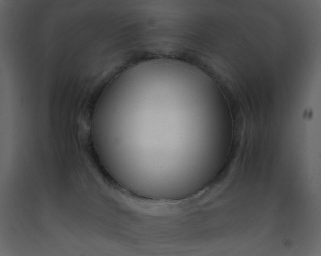 X0000092210040200710051146