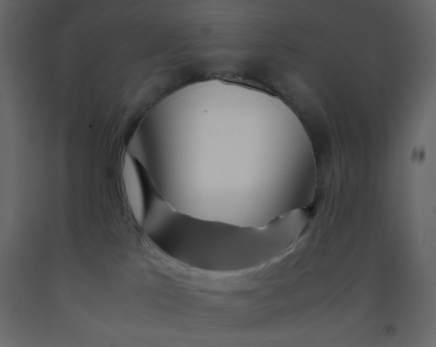 X0000092210041200710051146