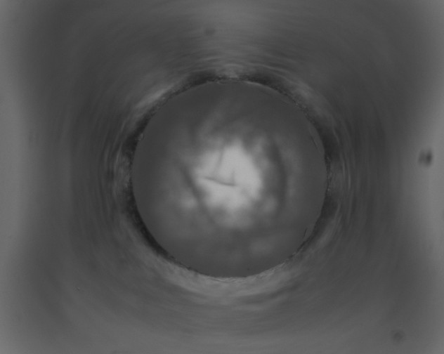 X0000092210043200710051146