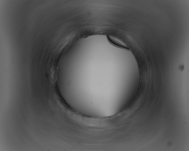 X0000092210044200710051146