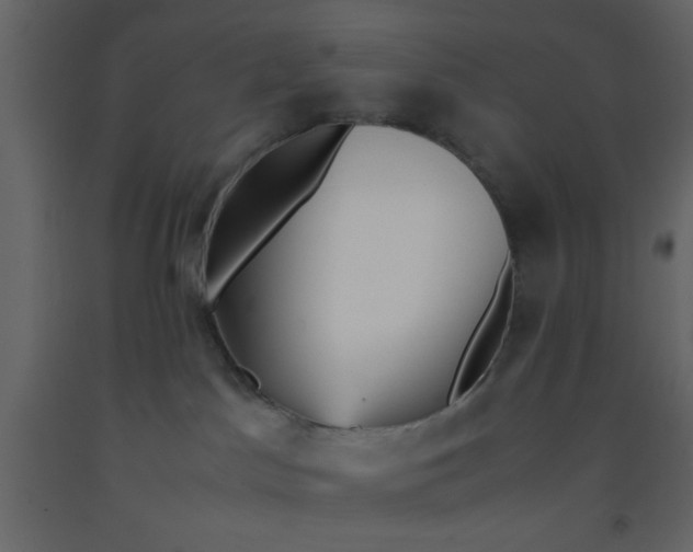 X0000092210045200710051146