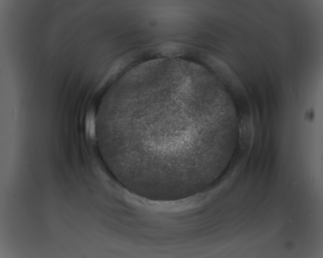 X0000092210046200710051146
