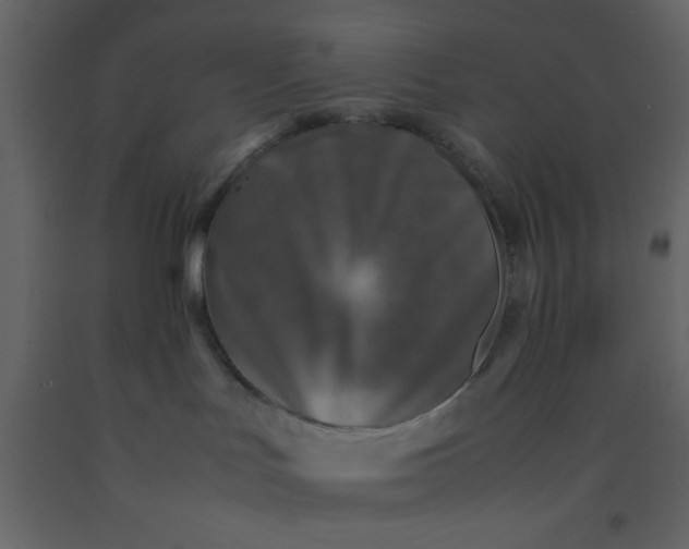 X0000092210047200710051146