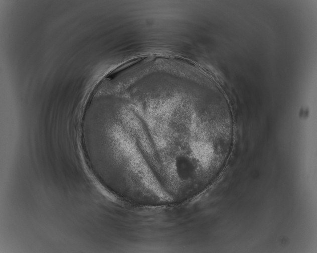 X0000092210049200710051145