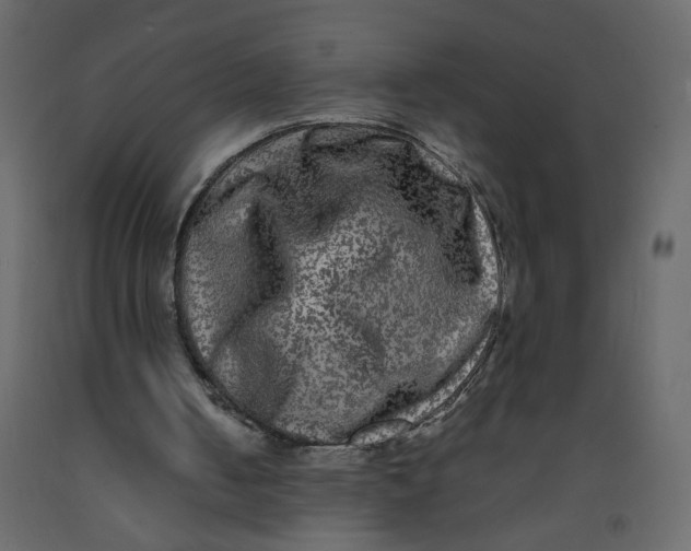 X0000092210050200710051145