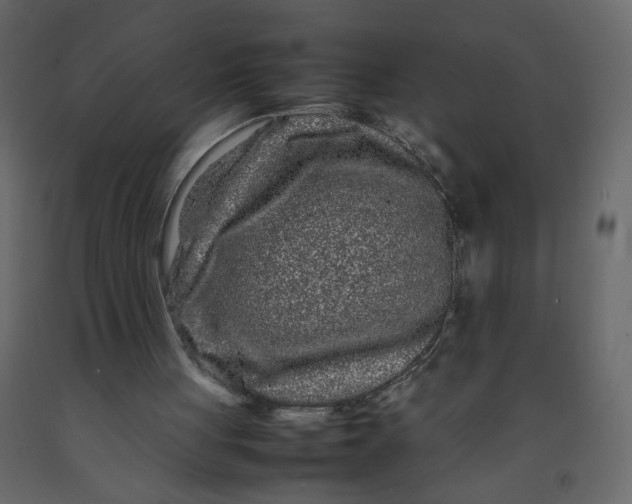 X0000092210051200710051145