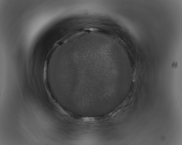 X0000092210052200710051145