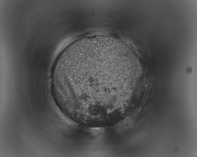 X0000092210053200710051145