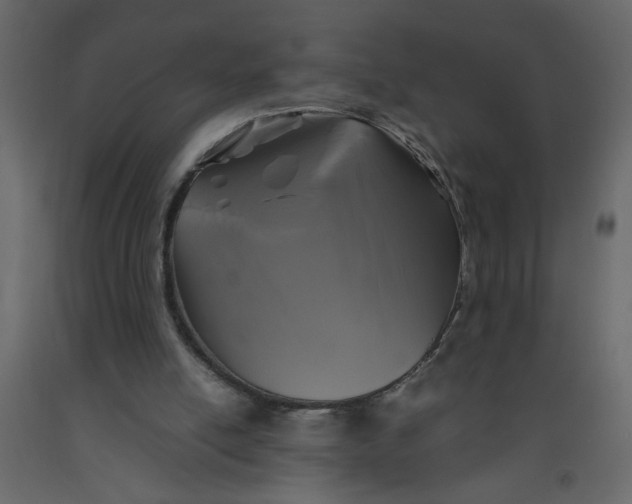 X0000092210054200710051145