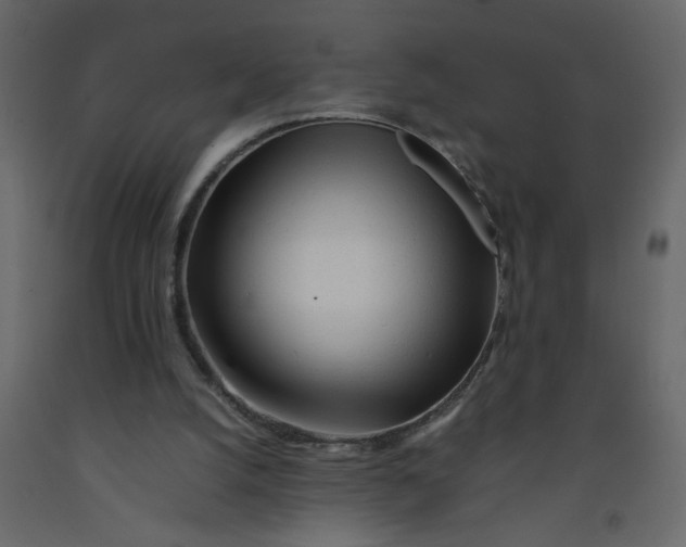 X0000092210056200710051145