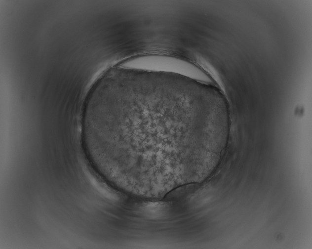 X0000092210059200710051145