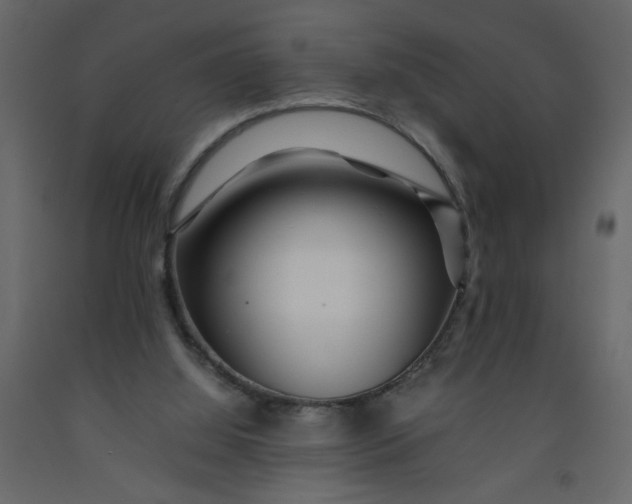 X0000092210060200710051145