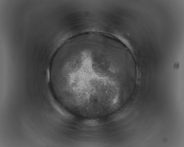 X0000092210061200710051145