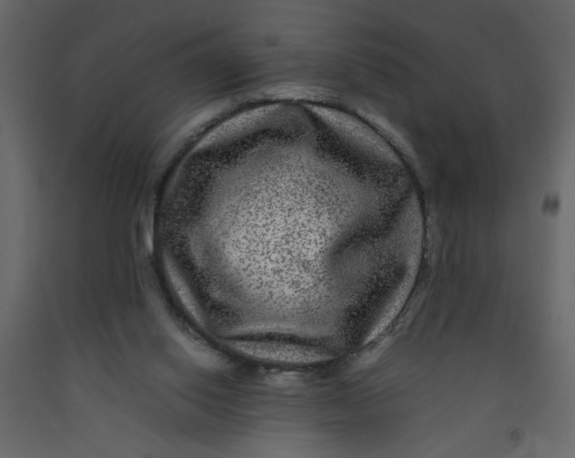 X0000092210062200710051145