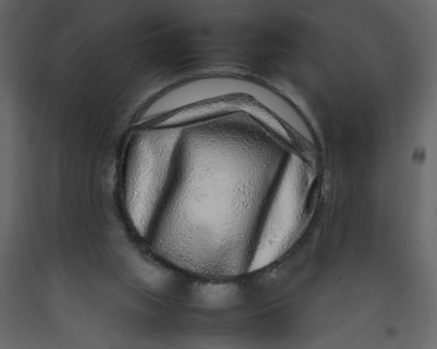 X0000092210063200710051145