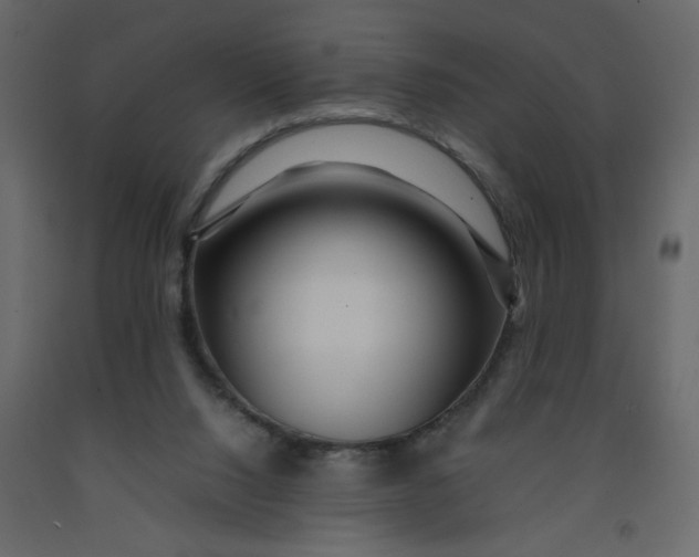 X0000092210064200710051145