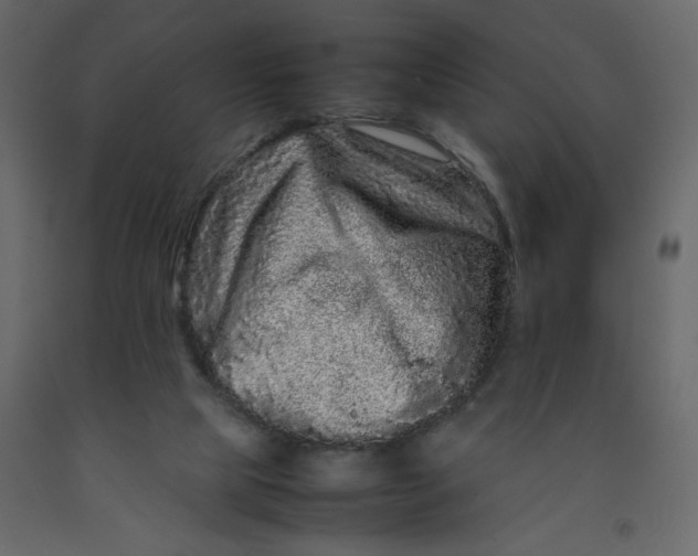 X0000092210065200710051145