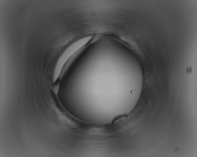 X0000092210066200710051145
