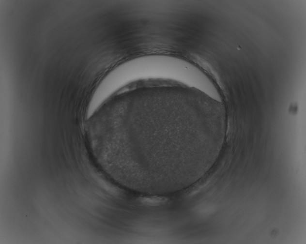 X0000092210069200710051145