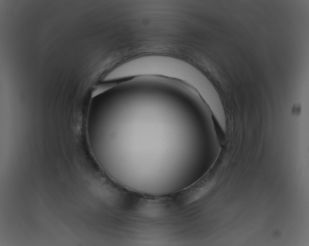X0000092210072200710051145