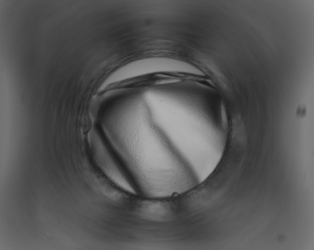 X0000092210073200710051146
