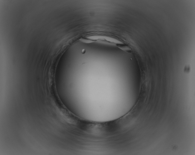 X0000092210074200710051146