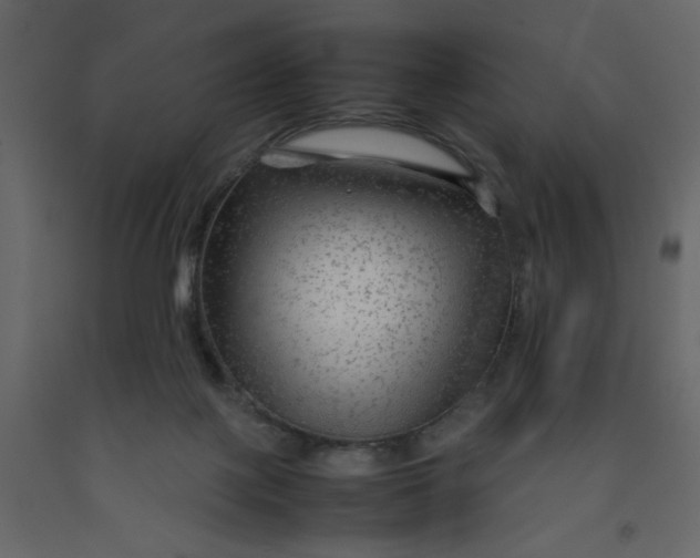 X0000092210075200710051146
