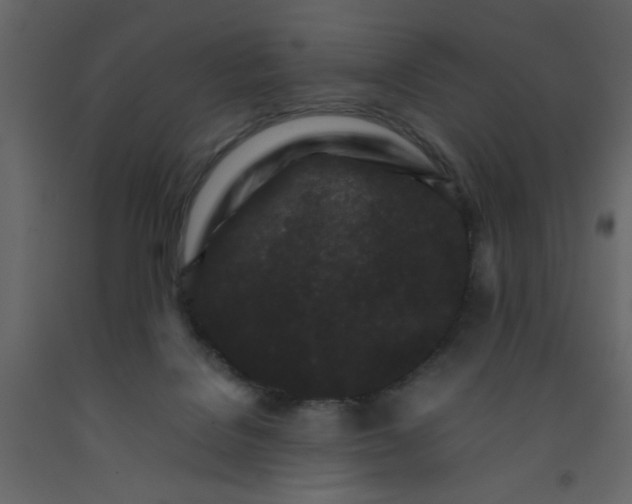X0000092210076200710051146