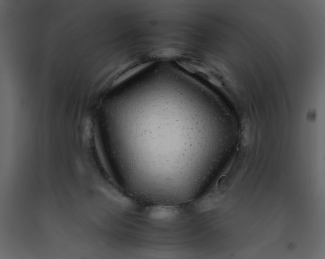 X0000092210077200710051146