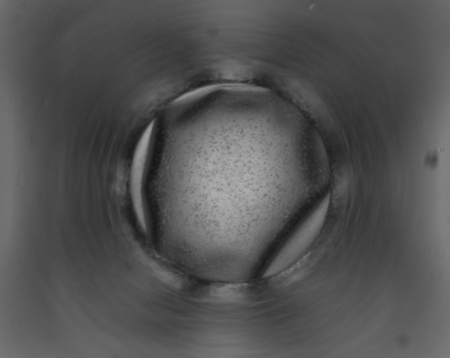 X0000092210078200710051146
