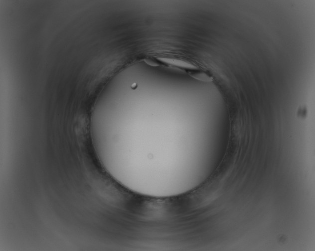 X0000092210079200710051146