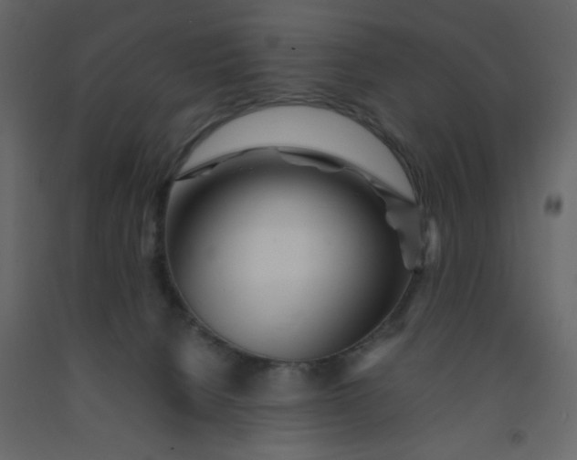 X0000092210080200710051146
