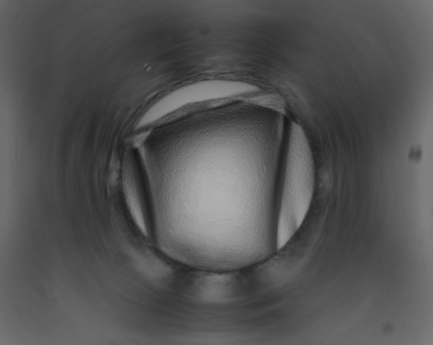 X0000092210081200710051146