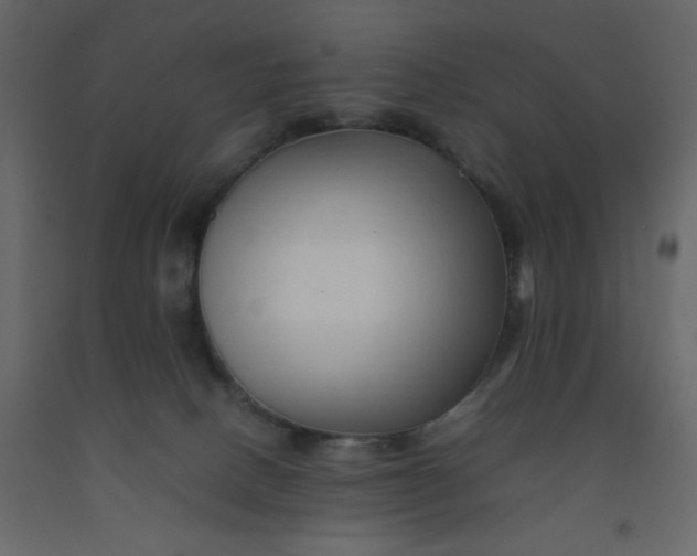 X0000092210082200710051146