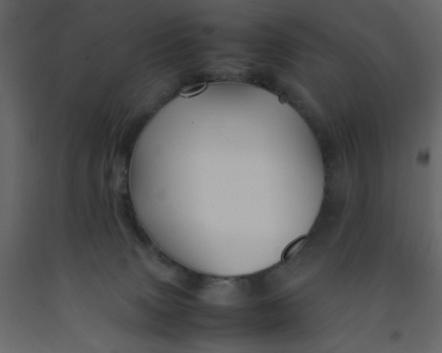 X0000092210083200710051146