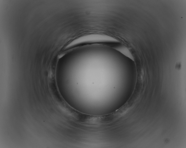 X0000092210084200710051146
