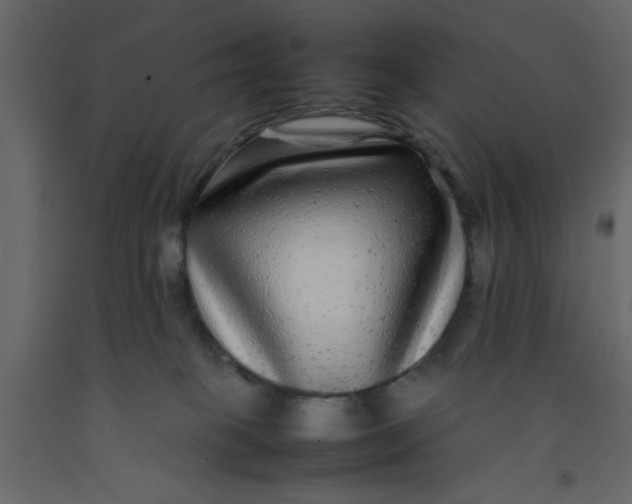 X0000092210085200710051146