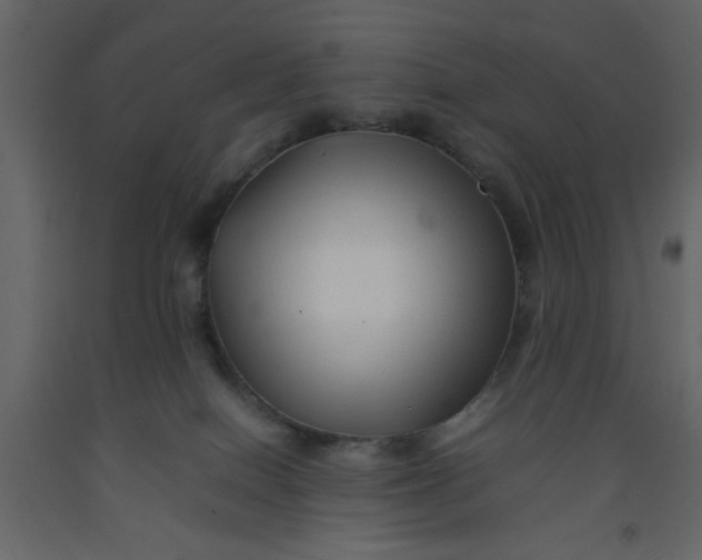 X0000092210086200710051146